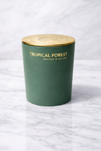 Tropical Forest 14oz