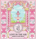 Love in the Air sleeve packaging